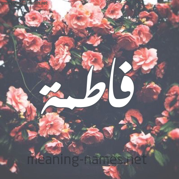 شكل 10 صوره ورود للإسم بخط رقعة صورة اسم فاطمة Fatma شكل 10 صوره ورود للإسم بخط رقعة صورة اسم فاطمة Fatma
