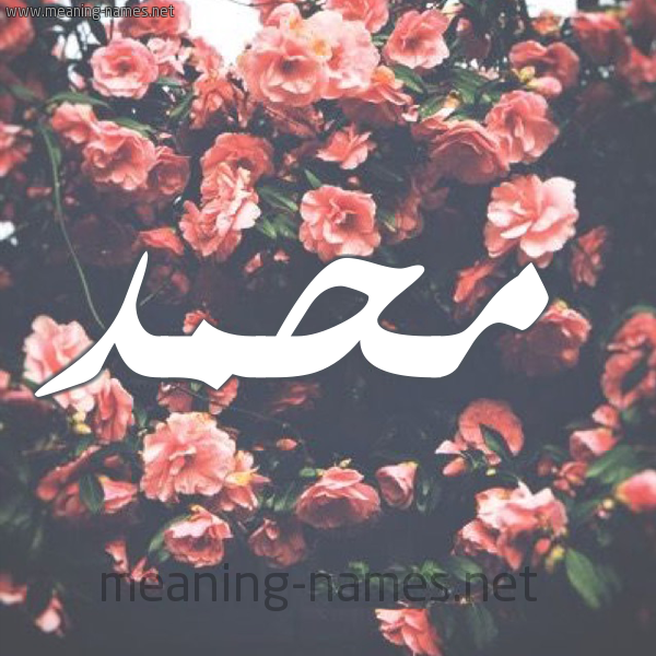 شكل 10 صوره ورود للإسم بخط رقعة صورة اسم محمد Mohammed شكل 10 صوره ورود للإسم بخط رقعة صورة اسم محمد Mohammed