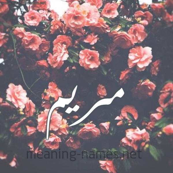 شكل 10 صوره ورود للإسم بخط رقعة صورة اسم مريم Mariem شكل 10 صوره ورود للإسم بخط رقعة صورة اسم مريم Mariem