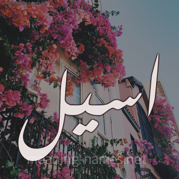 شكل 15 صوره ورود في البلكونة للإسم بخط رقعة صورة اسم اسيل Aseel شكل 15 صوره ورود في البلكونة للإسم بخط رقعة صورة اسم اسيل Aseel