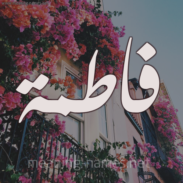 شكل 15 صوره ورود في البلكونة للإسم بخط رقعة صورة اسم فاطمة Fatma شكل 15 صوره ورود في البلكونة للإسم بخط رقعة صورة اسم فاطمة Fatma
