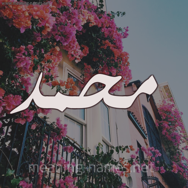 شكل 15 صوره ورود في البلكونة للإسم بخط رقعة صورة اسم محمد Mohammed شكل 15 صوره ورود في البلكونة للإسم بخط رقعة صورة اسم محمد Mohammed