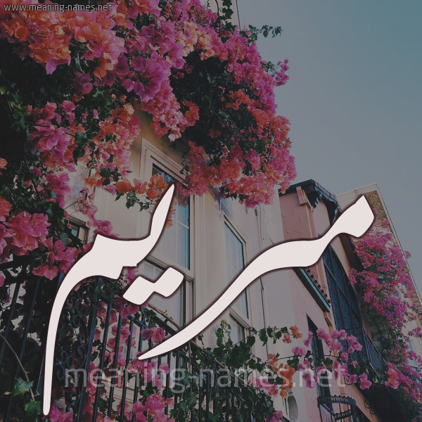 شكل 15 صوره ورود في البلكونة للإسم بخط رقعة صورة اسم مريم Mariem شكل 15 صوره ورود في البلكونة للإسم بخط رقعة صورة اسم مريم Mariem