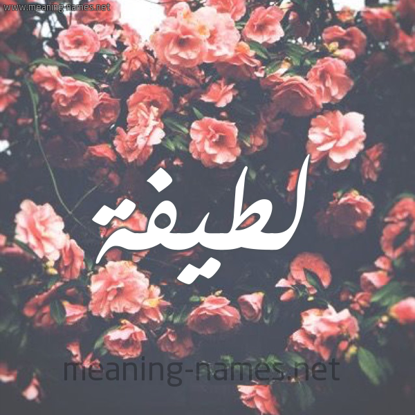 لطيفة شكل 10 صوره ورود للإسم بخط رقعة كتابة على الورد 2021 لطيفة شكل 10 صوره ورود للإسم بخط رقعة كتابة على الورد 2021