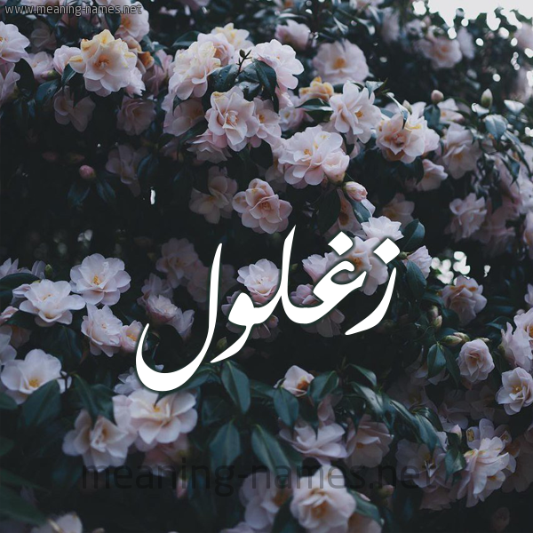 صور اسم زغلول قاموس الأسماء و المعاني