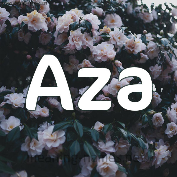 شكل 11 صوره ورود فل وياسمين للإسم بخط رقعة