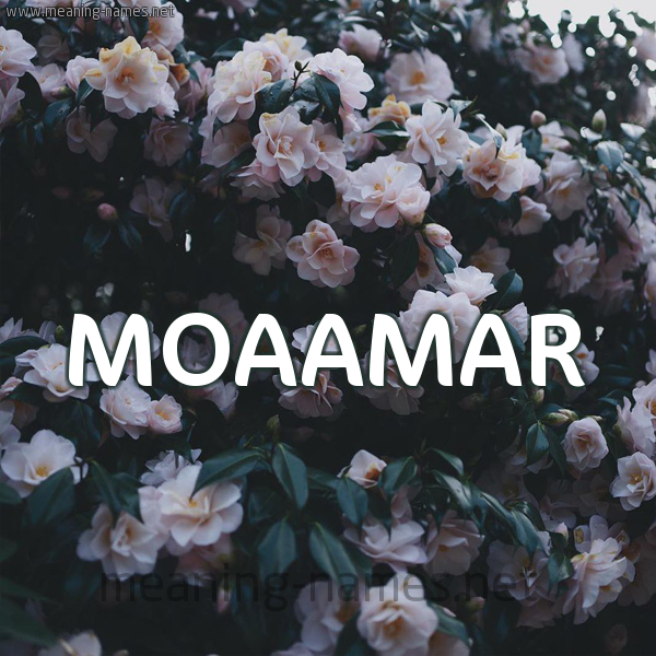شكل 11 صوره ورود فل وياسمين للإسم بخط رقعة
