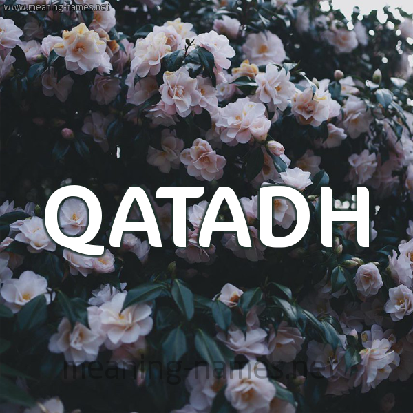 شكل 11 صوره ورود فل وياسمين للإسم بخط رقعة