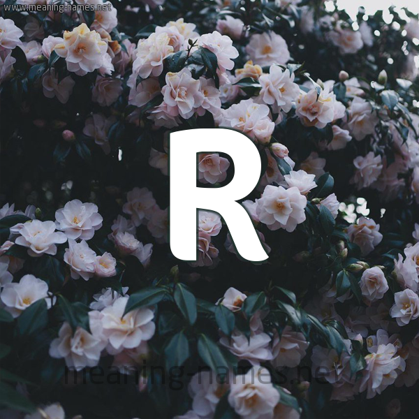 شكل 11 صوره ورود فل وياسمين للإسم بخط رقعة