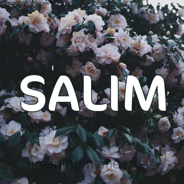 شكل 11 صوره ورود فل وياسمين للإسم بخط رقعة