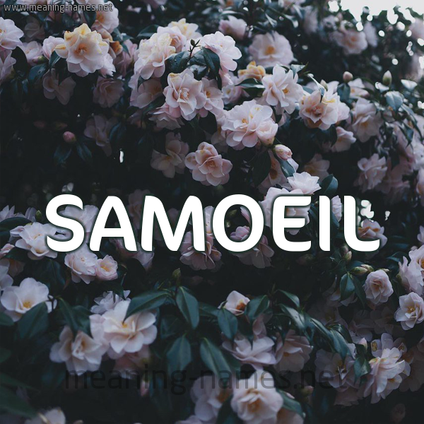 شكل 11 صوره ورود فل وياسمين للإسم بخط رقعة