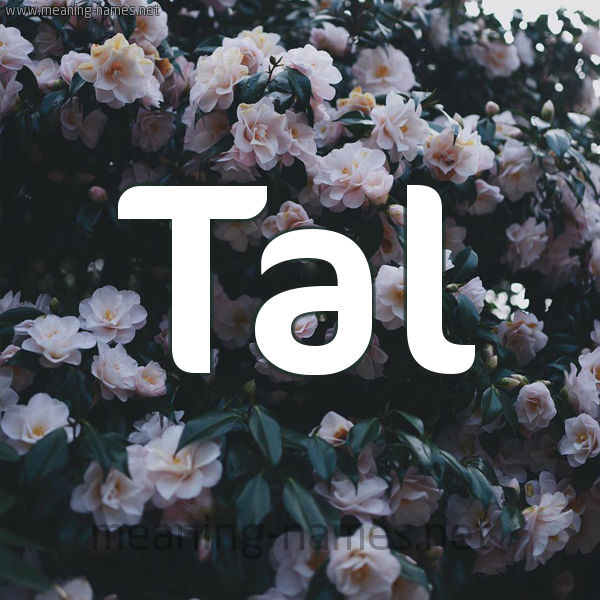 شكل 11 صوره ورود فل وياسمين للإسم بخط رقعة