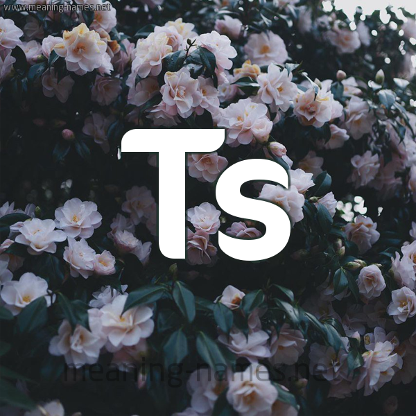 شكل 11 صوره ورود فل وياسمين للإسم بخط رقعة