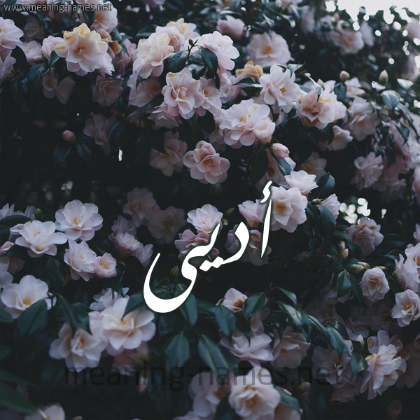 صورة اسم أديى Adey شكل 11 صوره ورود فل وياسمين للإسم بخط رقعة