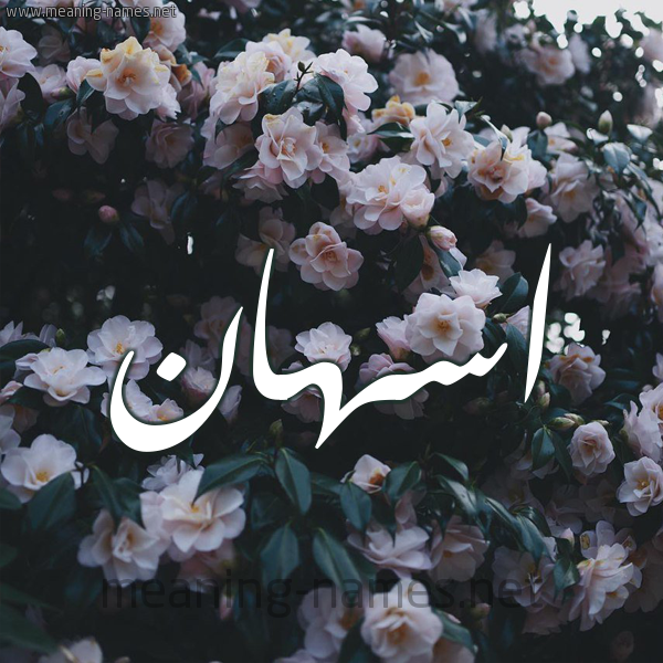 شكل 11 صوره ورود فل وياسمين للإسم بخط رقعة صورة اسم اسهان ASHAN