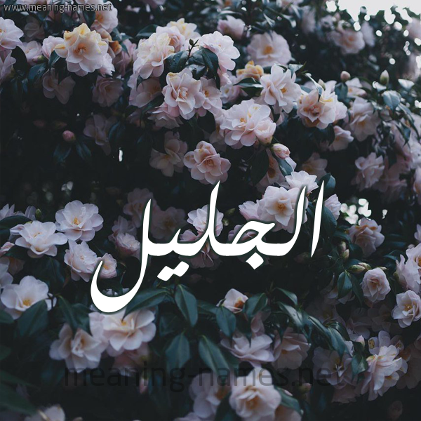 شكل 11 صوره ورود فل وياسمين للإسم بخط رقعة