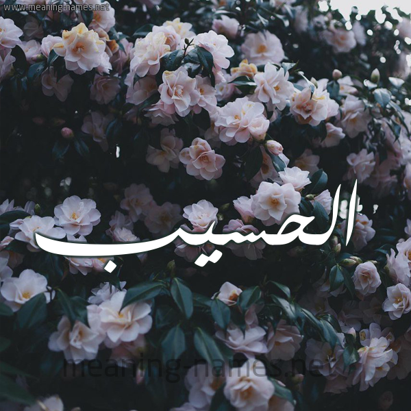 شكل 11 صوره ورود فل وياسمين للإسم بخط رقعة