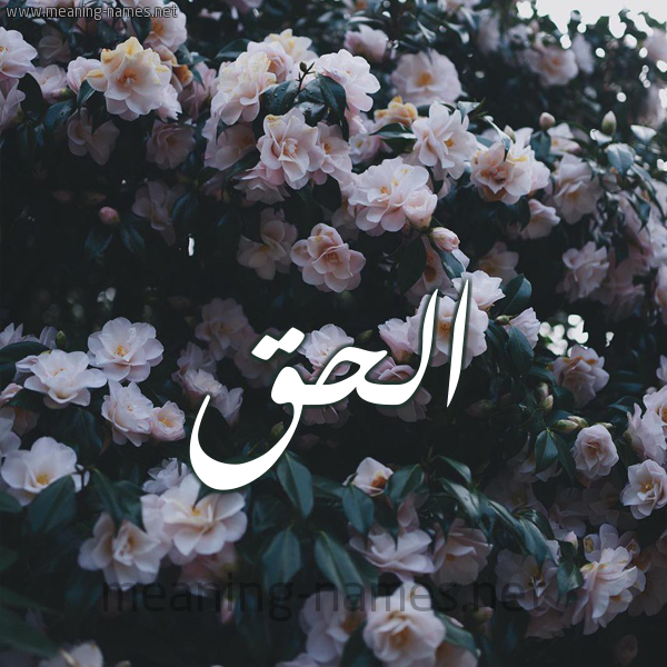 شكل 11 صوره ورود فل وياسمين للإسم بخط رقعة