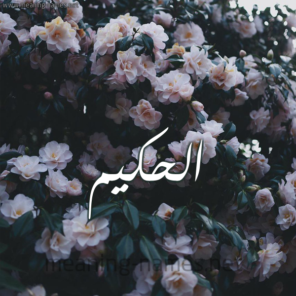 شكل 11 صوره ورود فل وياسمين للإسم بخط رقعة