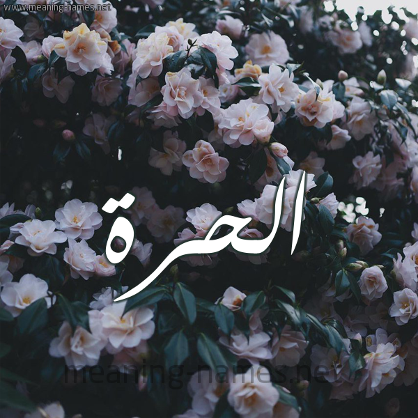 شكل 11 صوره ورود فل وياسمين للإسم بخط رقعة صورة اسم الحُرَّة ALHORAH شكل 11 صوره ورود فل وياسمين للإسم بخط رقعة صورة اسم الحُرَّة ALHORAH