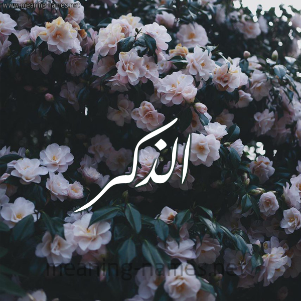 شكل 11 صوره ورود فل وياسمين للإسم بخط رقعة