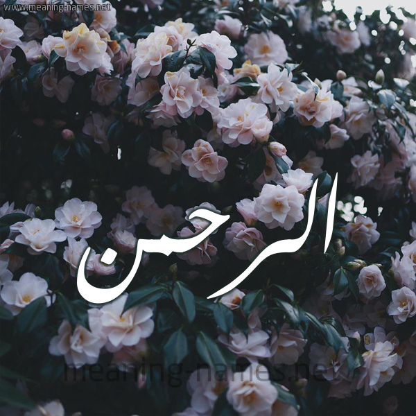 شكل 11 صوره ورود فل وياسمين للإسم بخط رقعة