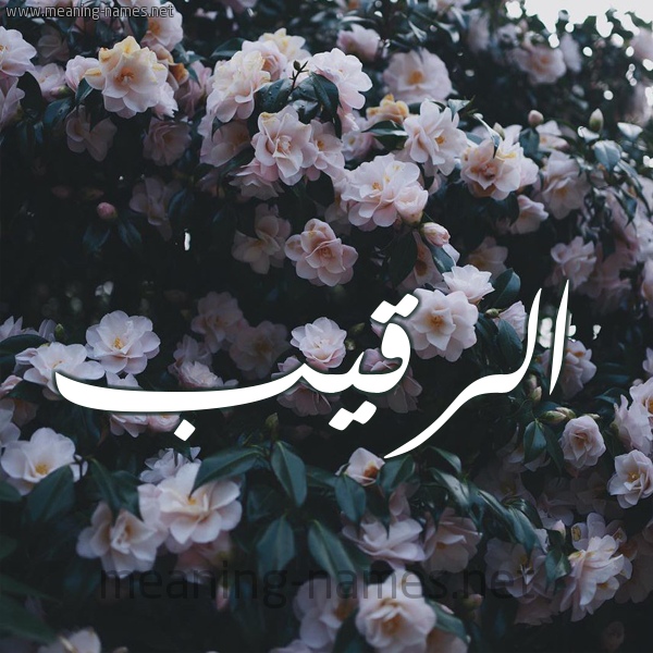 شكل 11 صوره ورود فل وياسمين للإسم بخط رقعة