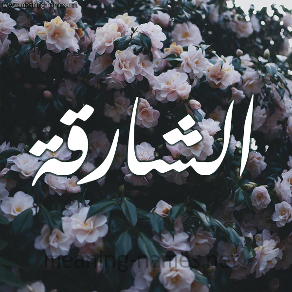شكل 11 صوره ورود فل وياسمين للإسم بخط رقعة
