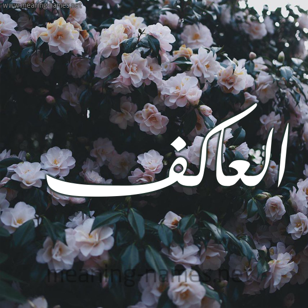 شكل 11 صوره ورود فل وياسمين للإسم بخط رقعة