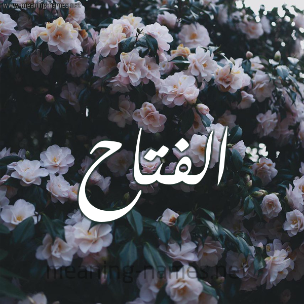 شكل 11 صوره ورود فل وياسمين للإسم بخط رقعة