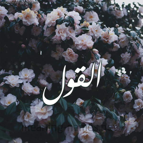 شكل 11 صوره ورود فل وياسمين للإسم بخط رقعة