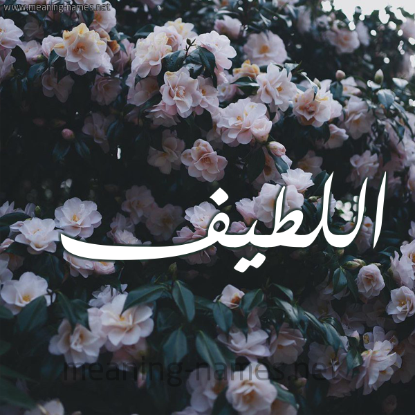 شكل 11 صوره ورود فل وياسمين للإسم بخط رقعة