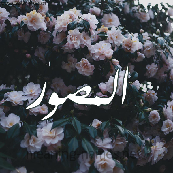 شكل 11 صوره ورود فل وياسمين للإسم بخط رقعة