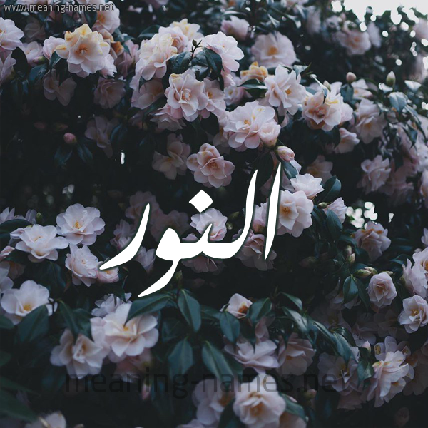 شكل 11 صوره ورود فل وياسمين للإسم بخط رقعة