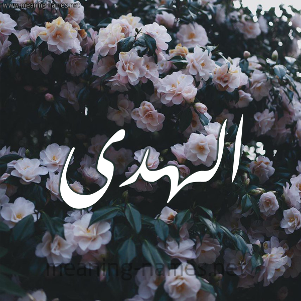 شكل 11 صوره ورود فل وياسمين للإسم بخط رقعة