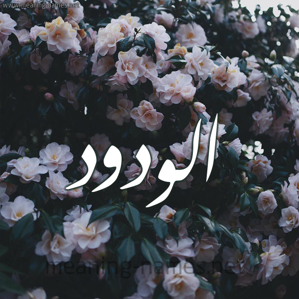 شكل 11 صوره ورود فل وياسمين للإسم بخط رقعة