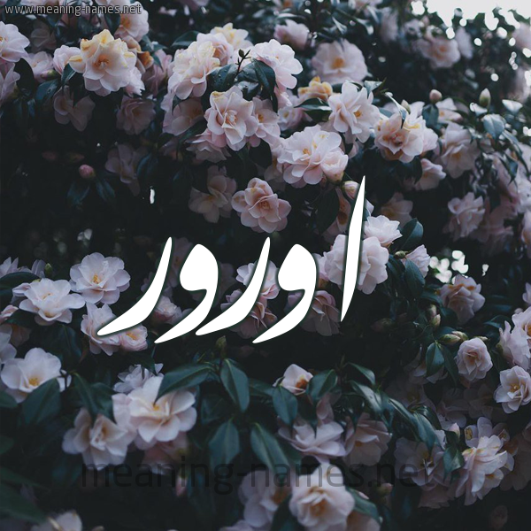 شكل 11 صوره ورود فل وياسمين للإسم بخط رقعة