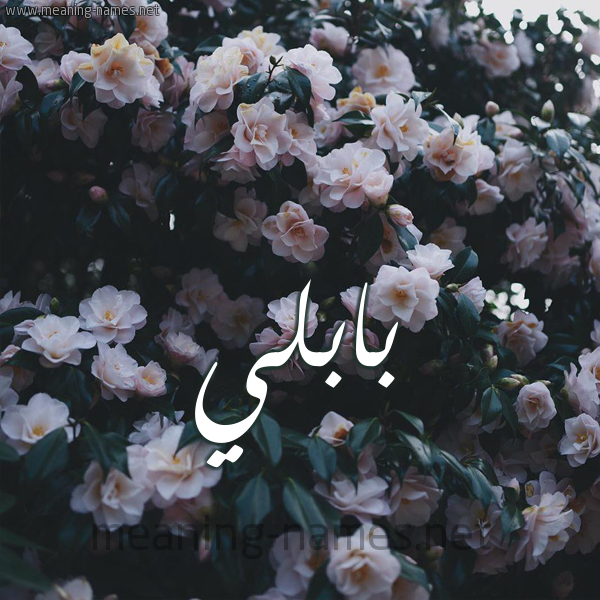 شكل 11 صوره ورود فل وياسمين للإسم بخط رقعة صورة اسم بابُلِّي BABOLEI شكل 11 صوره ورود فل وياسمين للإسم بخط رقعة صورة اسم بابُلِّي BABOLEI