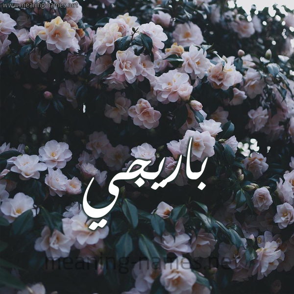 شكل 11 صوره ورود فل وياسمين للإسم بخط رقعة صورة اسم بارِيجيِّ BAREIGIE شكل 11 صوره ورود فل وياسمين للإسم بخط رقعة صورة اسم بارِيجيِّ BAREIGIE