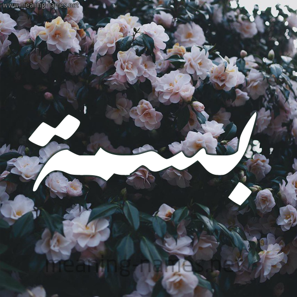 شكل 11 صوره ورود فل وياسمين للإسم بخط رقعة صورة اسم بسمة Basma