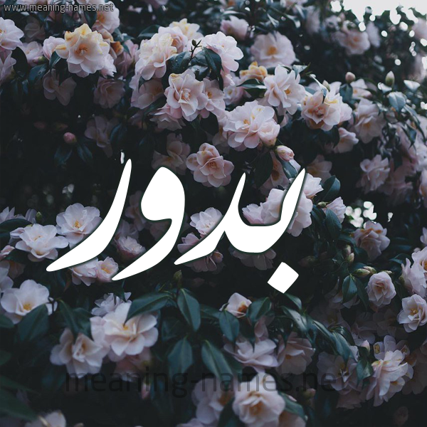 شكل 11 صوره ورود فل وياسمين للإسم بخط رقعة صورة اسم بَدُّور BADOOR شكل 11 صوره ورود فل وياسمين للإسم بخط رقعة صورة اسم بَدُّور BADOOR