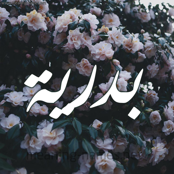 شكل 11 صوره ورود فل وياسمين للإسم بخط رقعة صورة اسم بَدْرِيَّة BADREIA شكل 11 صوره ورود فل وياسمين للإسم بخط رقعة صورة اسم بَدْرِيَّة BADREIA