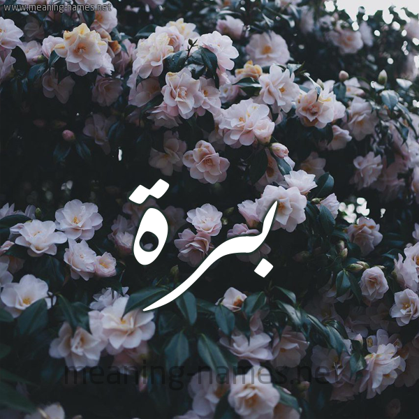 شكل 11 صوره ورود فل وياسمين للإسم بخط رقعة صورة اسم بَرَّة BARAH شكل 11 صوره ورود فل وياسمين للإسم بخط رقعة صورة اسم بَرَّة BARAH
