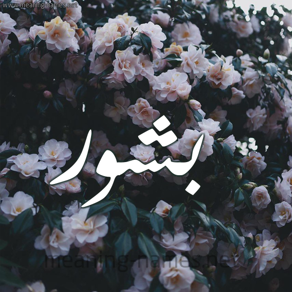 شكل 11 صوره ورود فل وياسمين للإسم بخط رقعة صورة اسم بَشُّور BASHOOR شكل 11 صوره ورود فل وياسمين للإسم بخط رقعة صورة اسم بَشُّور BASHOOR