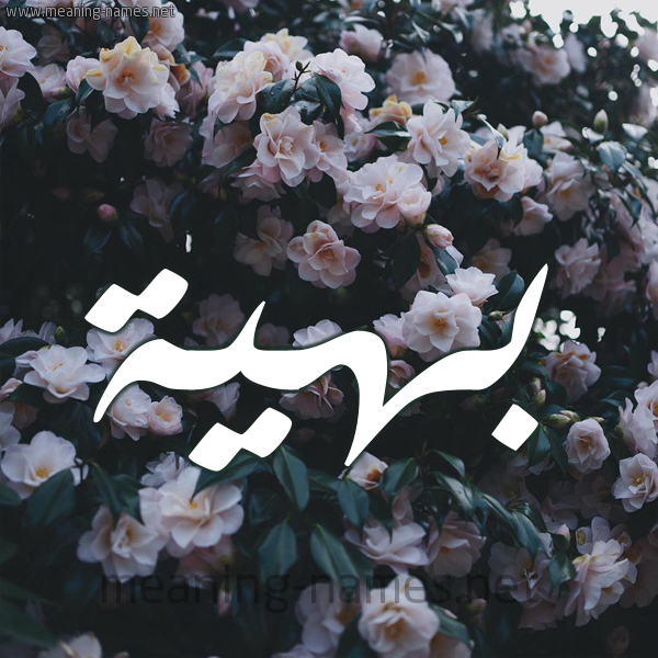 شكل 11 صوره ورود فل وياسمين للإسم بخط رقعة صورة اسم بَهِيَّة BAHEIAH شكل 11 صوره ورود فل وياسمين للإسم بخط رقعة صورة اسم بَهِيَّة BAHEIAH