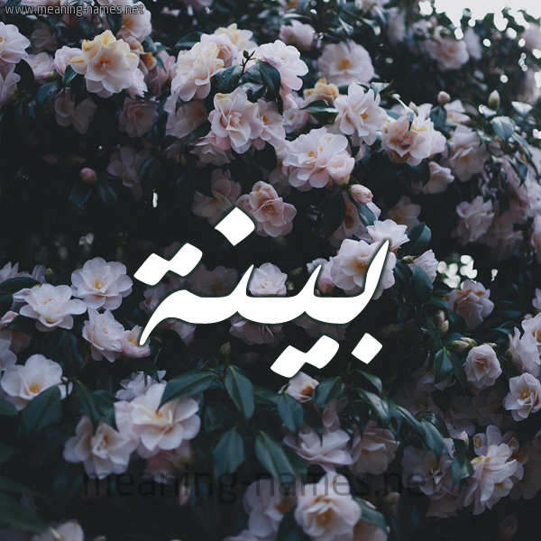 شكل 11 صوره ورود فل وياسمين للإسم بخط رقعة صورة اسم بَيِّنَة BAIENAH شكل 11 صوره ورود فل وياسمين للإسم بخط رقعة صورة اسم بَيِّنَة BAIENAH