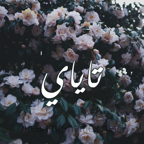 شكل 11 صوره ورود فل وياسمين للإسم بخط رقعة صورة اسم تاياي Taya