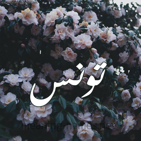 شكل 11 صوره ورود فل وياسمين للإسم بخط رقعة