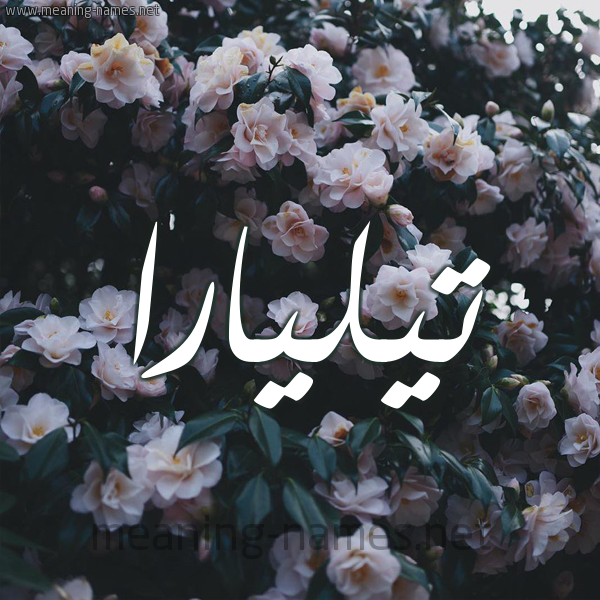 شكل 11 صوره ورود فل وياسمين للإسم بخط رقعة