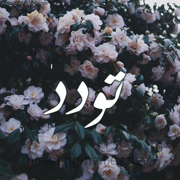 صورة اسم تَوَدُّد TAOADOD شكل 11 صوره ورود فل وياسمين للإسم بخط رقعة صورة اسم تَوَدُّد TAOADOD شكل 11 صوره ورود فل وياسمين للإسم بخط رقعة